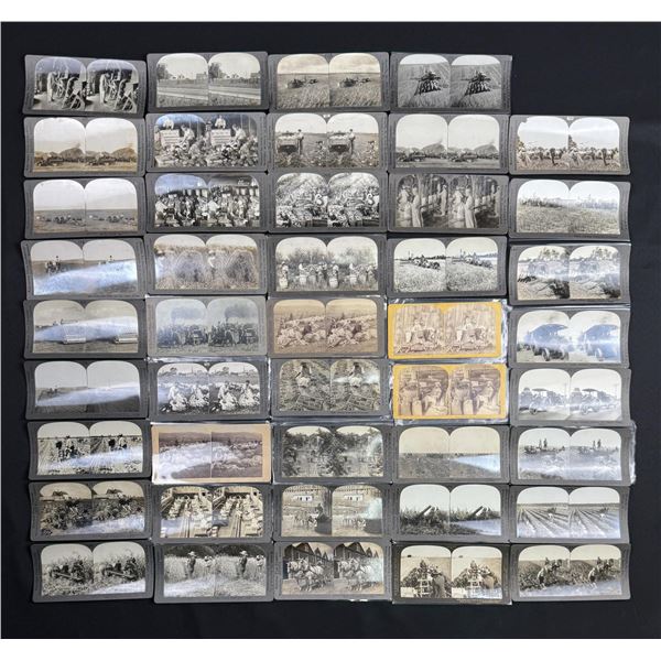 Collection of Agricultural Stereoviews