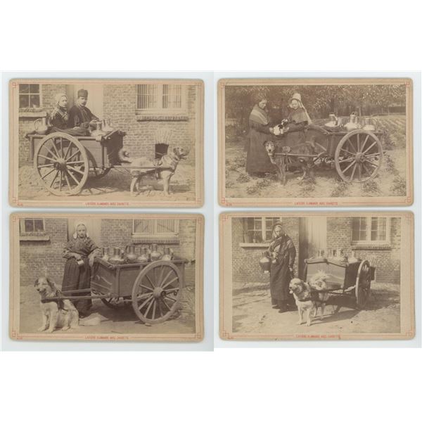 Flemish Milkmaids Dog Milk Cart Photos