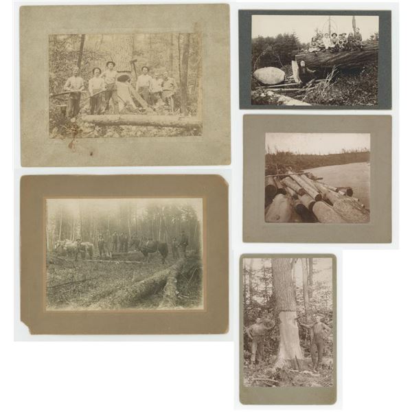 Logging Forester Woodsmen Cabinet Photos