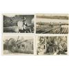 Image 2 : Collection of Logging RPPC Postcards