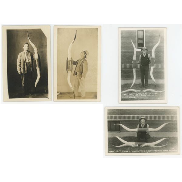 Massive Steer Horn Steer Farmer RPPC Postcards