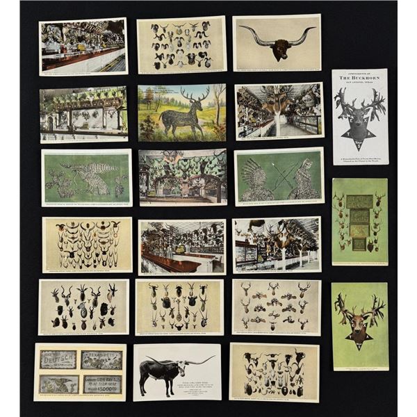 Group of Texas Taxidermy Postcards