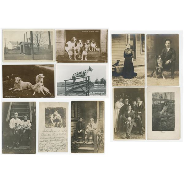 Collection of RPPC Postcards with Dogs