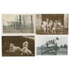 Image 2 : Collection of RPPC Postcards with Dogs