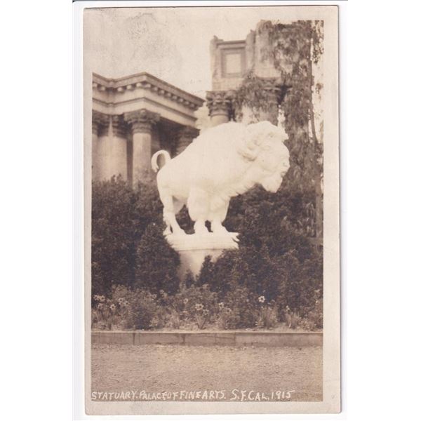 Bison Sculpture Palace of Fine Arts RPPC Postcard