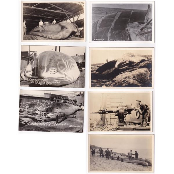 Fields Landing Whaling RPPC Postcards