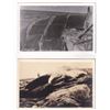 Image 4 : Fields Landing Whaling RPPC Postcards