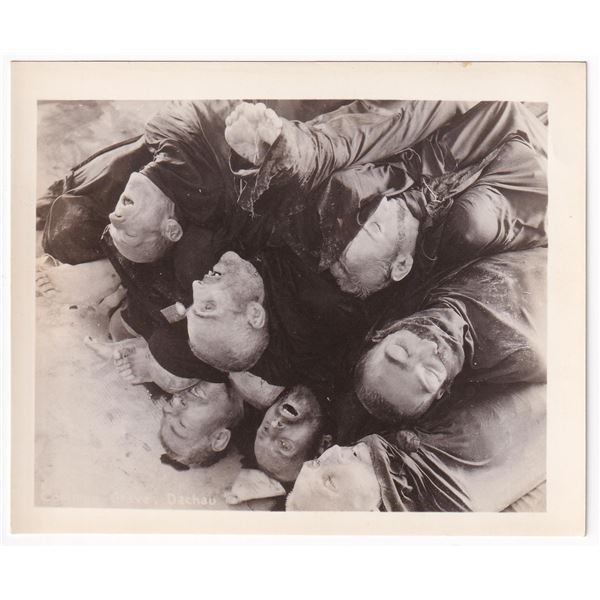 WW2 Dead Dachau Concentration Camp Prisoners Photo