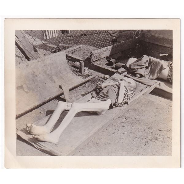 WW2 Dead Dachau Concentration Camp Victim Photo