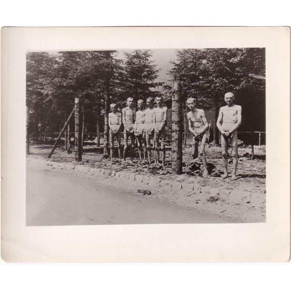 WW2 Dachau Concentration Camp Survivors Photo