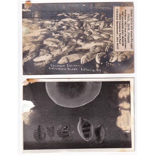 Salvador Dali Museum RPPC Postcards