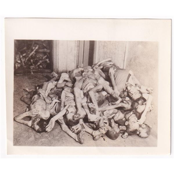 Ebensee Austria Concentration Camp Corpse Photo