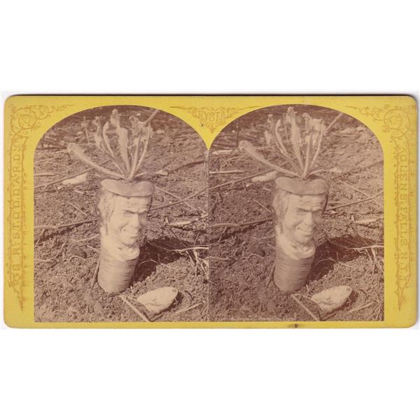 Halloween Indian Chief Carved Parsnip Stereoview