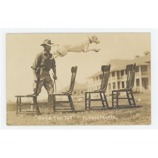 Trick Jumping Dog RPPC Postcard