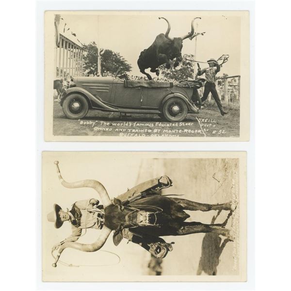 World Famous Educated Steer RPPC Postcards