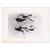 Image 1 : WW2 Iwo Jima Dead Japanese Soldiers Photo
