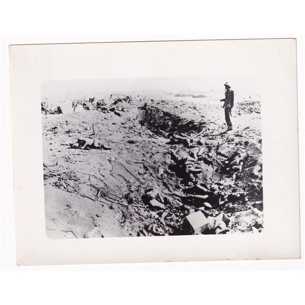 WW2 Philippines Dead Japanese Soldiers Photo