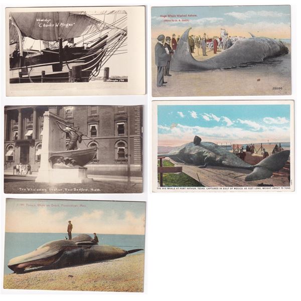 Collection of Whaling Postcards