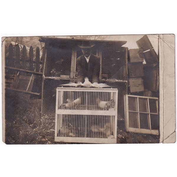 Messenger Pigeon Breeder RPPC Postcard