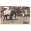 Image 1 : Advertising Elephant Billboard RPPC Postcard
