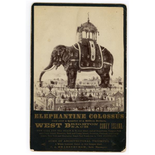 Elephantine Colossus Coney Island Cabinet Photo