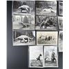 Image 3 : Domke's Prehistorical Zoo RPPC Postcards