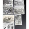 Image 5 : Domke's Prehistorical Zoo RPPC Postcards