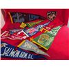 Image 1 : 1960's Felt Pennants