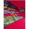 Image 5 : 1960's Felt Pennants