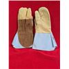 Image 1 : TREEN WELDING GLOVES Size 10