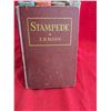 Image 5 : ANTIQUARIAN WESTERN NOVELS