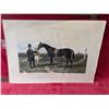 Image 2 : FLYING DUTCHMAN ~Print