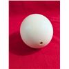Image 2 : OSTRICH Egg