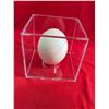 Image 3 : OSTRICH Egg