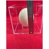 Image 4 : OSTRICH Egg
