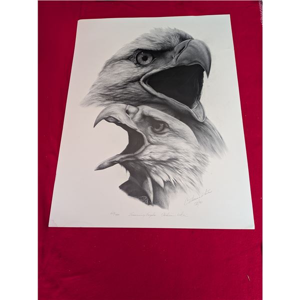 SCREAMING EAGLES Limited Print by Catherine White