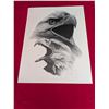 Image 1 : SCREAMING EAGLES Limited Print by Catherine White