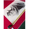 Image 2 : SCREAMING EAGLES Limited Print by Catherine White