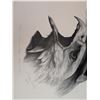 Image 4 : SCREAMING EAGLES Limited Print by Catherine White