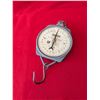 Image 1 : VINTAGE SALTER SCALE