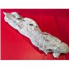 Image 1 : LARGE MARBLE STONE