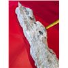 Image 5 : LARGE MARBLE STONE