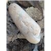 Image 5 : BOX OF ROCKS