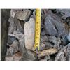 Image 6 : BOX OF ROCKS