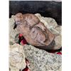 Image 8 : BOX OF ROCKS