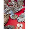 Image 3 : BOX OF ROCKS