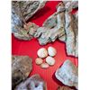 Image 4 : BOX OF ROCKS