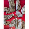 Image 5 : BOX OF ROCKS