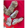 Image 6 : BOX OF ROCKS
