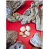 Image 8 : BOX OF ROCKS